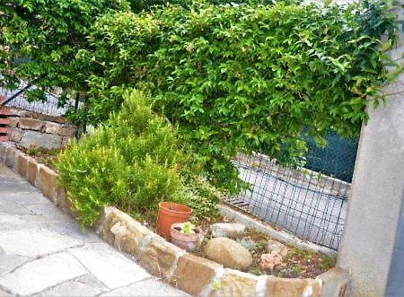 Romeo - Sanremo Apartments Εξωτερικό φωτογραφία